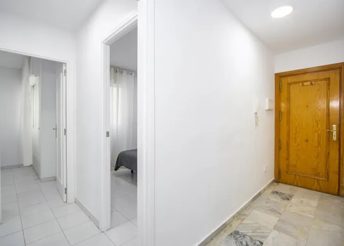 Vicente Id13 또레비에하